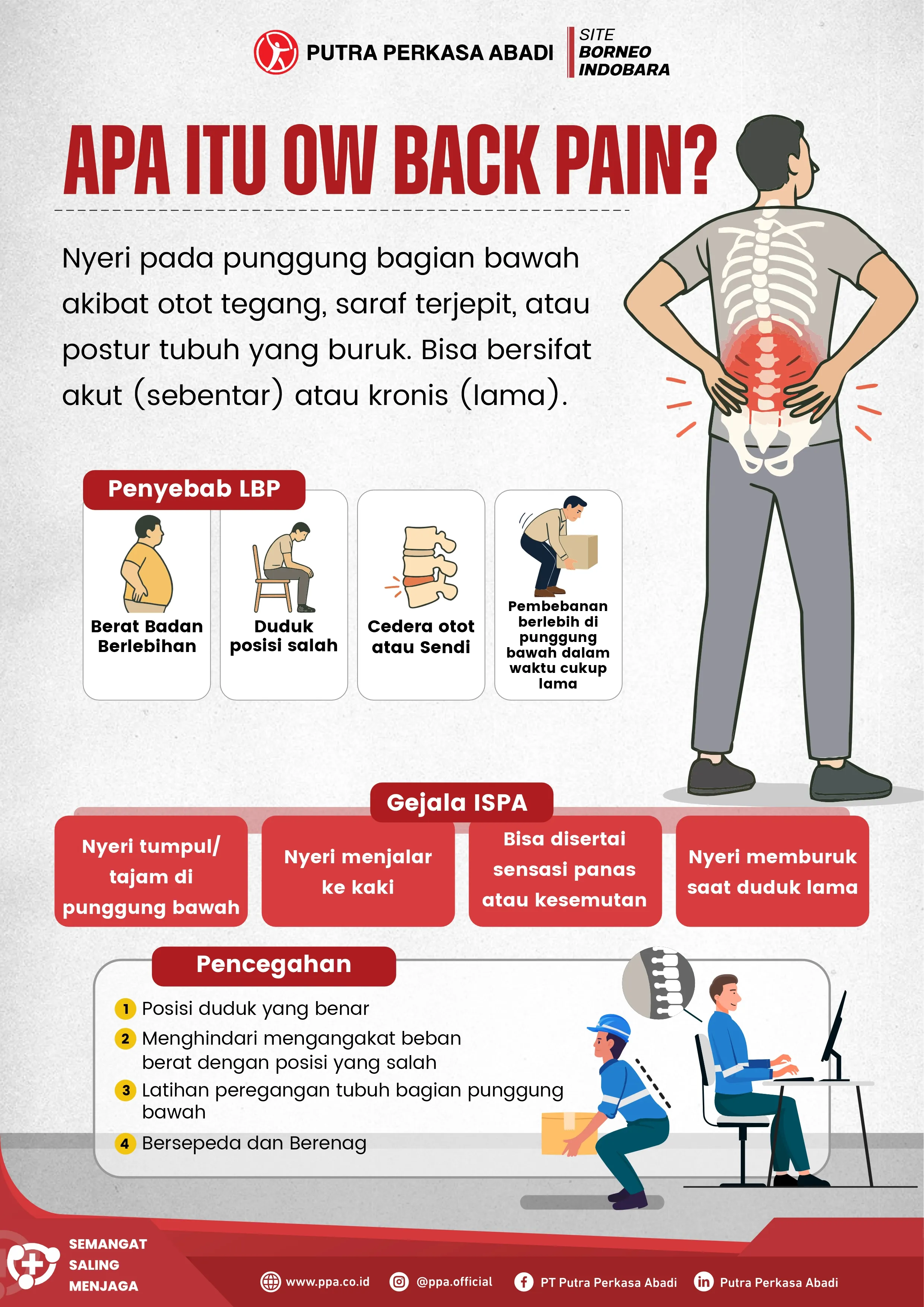 Mengenal Low Back Pain: Keluhan yang Sering Diabaikan di Tempat Kerja
